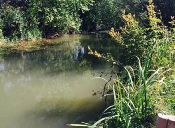 בית נופש Ilmhaus 2